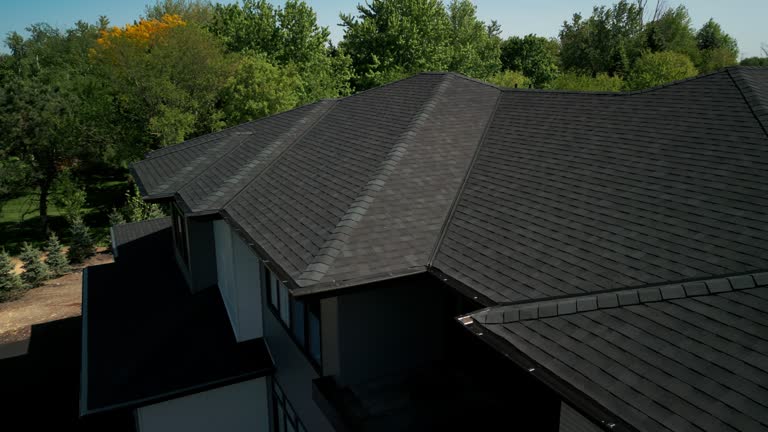 Best Gutter Installation and Repair  in Lake City, MN