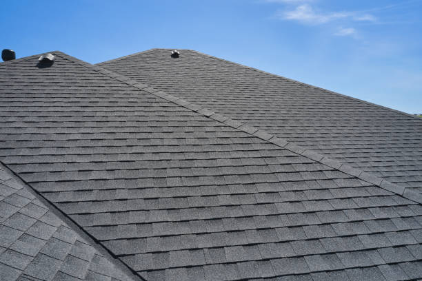 Best Emergency Roof Repair Services  in Lake City, MN